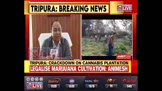 Tripura: TIPRA Motha leader Animesh Debbarma asks Govt to legalise marijuana cultivation