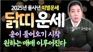 🐔2025년 을사년 '닭띠운세'🐔 운이 들어오면서 원하는 매매가 이루어진다! / 용인점집