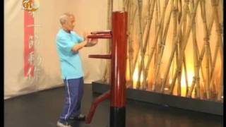 Session 1 - Ip Man Wooden Dummy Form