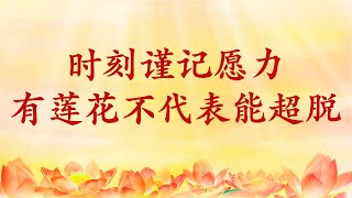 卢台长【节目录音+字幕】时刻谨记愿力，有莲花不代表能超脱六道