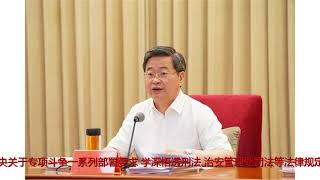 陈一新：中央扫黑除恶督导组将赴地方“督战”