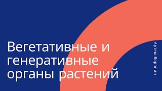 Вегетативные и генеративные органы растений