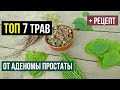 Самые надёжные лечебные травы от аденомы простаты и рецепт