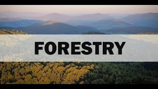 Expert Talk on the topic  Forestry As Career Option | RK Amarjit  | IFS | Manipur Forest Department