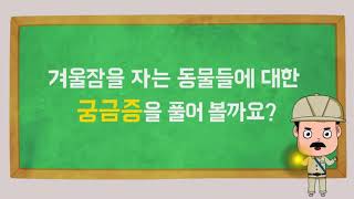 동물들이 겨울잠을 자는 까닭