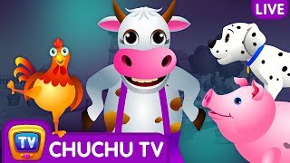 Farm Animals, Wild Animals & More ChuChu TV Surprise Eggs Learning Videos - Live Stream