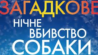 Загадкове нічне вбивство собаки