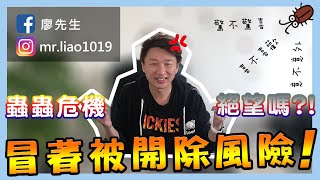 【愚人節整人企劃】重磅打造用1000蟲蟲 鋪滿整個辦公室！老闆看到會怎麼樣呢？