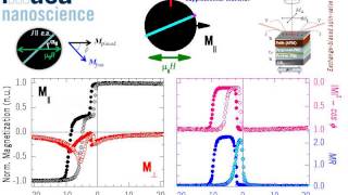 GMR vs. Magnetization Reversal in Exchange-Biased Spin Valve - Perna