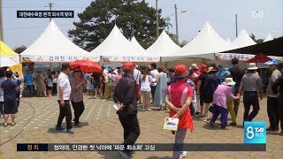 TJB뉴스-18일까지 제16회 서산 팔봉산 감자축제(뉴스방영 2017.06.17)