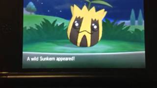 Pokemon X (Live sparkle) Shiny Sunkern phase 3