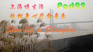 上海慢生活，放松身心疗愈音乐，Part91,Slow life in Shanghai,wonderful relaxing music,sleep music，beautiful flowers