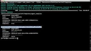 CP: VMware VM Terminate with Puppet Cloud Provisioning