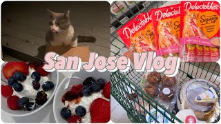 San Jose Vlog 🇺🇸 | 캘리포니아 일상 | 길냥이 등장 | 산호세 맛집 | 홀푸드 마켓 | 월마트 | 영어공부 | 평범한 일상