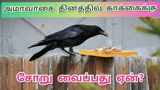 அமாவாசை தினத்தில் காக்கைக்கு சோறு வைப்பது ஏன்?