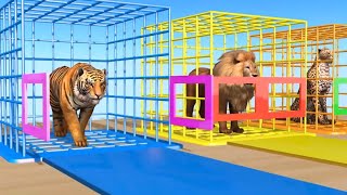 Cow Mammoth Elephant Tiger Gorilla Guess The Right Door ESCAPE ROOM CHALLENGE Animals Tire Game