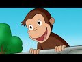 curious george 🐵george the grocer 🐵 kids cartoon 🐵 kids movies videos for kids