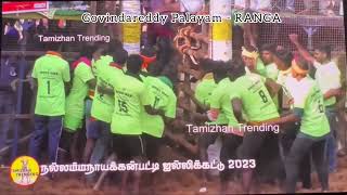 GR Palayam - RANGA - Jallikattu Debut - 2023