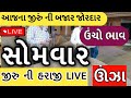 Jeera na bhav | 15-05-2023 | જીરું ના ભાવ:2023 | live cumin trading in  APMC | commodity Trend |