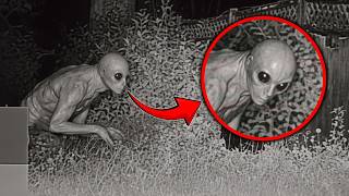 These Videos Will Blow Your Mind, The Proof of Extraterrestrial Existence!
