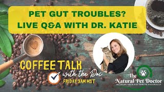 Cat & Dog Gut Health Problems - Q&A with Dr. Katie Woodley - Holistic Veterinarian