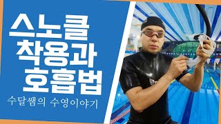 [스노클] 스노클 사용법/호흡법/수영장/스노클 숨쉬기