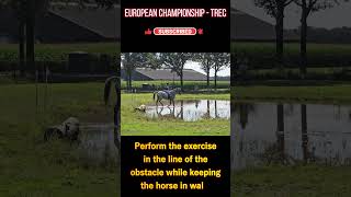 TREC - Water crossing and Ridden step-up #Shorts - European Championship 2024