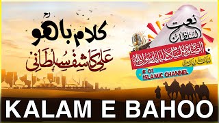 Alif Allah Chambay Di Booti - Kalam e Bahoo - Ali Kashif Sultani - Uploaded By Naatesultan