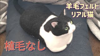 【羊毛フェルト】植毛なしでリアル猫を作ってみた【needle felting】I made a real cat.