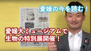 【愛媛県議会議員・中野たいせい】愛媛の今を読む！「愛媛大ミュージアムで生物の特別展開催中！」6月14日