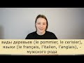 Как определить род существительного во французском языке Французский язык для начинающих