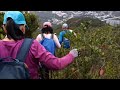 遠足 ~ 金馬倫山北脊，南脊， 班納山橫山徑，香港仔下水塘，漁光村散隊。 優悠行山隊 @2024.2.3