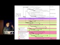 06 François Lutzoni et al   A global phylogeny and classification of the Pezizomycotina