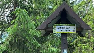 Czerwcowa wycieczka - Mogielica i Turbacz