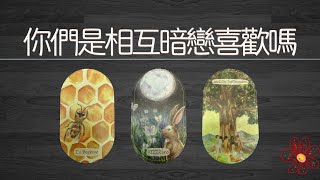 你們是相互暗戀、喜歡嗎？誰喜歡誰更多一點？他什麽時候才會主動？    |曖昧|愛情|戀愛|桃花|塔羅占卜|