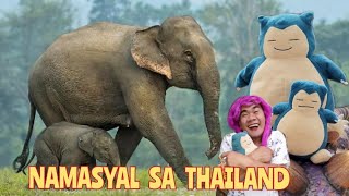 Madaming Elepante at Dinosaur | Madam Sonya Funny Video