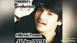 New 2020 Noha Nadeem Sarwar Ali Jee Ali Shanawar Official Promo
