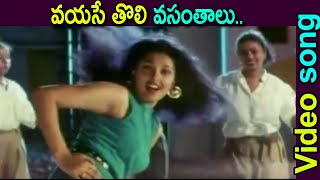 వయసే తొలి వసంతాలు.. Video songs | Chaitanya Telugu Movie Songs | Nagarjuna , Gautami #oldmelodysongs