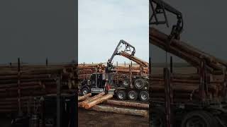 🔥Unloading OX Firewood 🔥