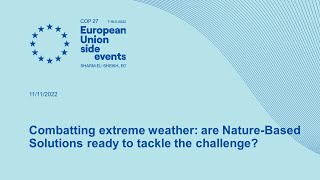 Combatting extreme weather: are Nature-Based Solutions ready to tackle the challenge?