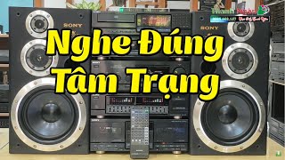 Nhạc Nhẹ Siêu Hay Dành Test Dàn Loa SONY Mới Toanh - Nghe Êm Ái Thánh Thót Vị Ngọt Cuộc Sống