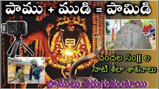 Pamidi Bhogeswara Temple Pamidi Cloth Market Pamidi History in Telugu