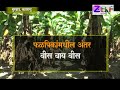 zbnfsptv murbad how much quantity of jivamrut should be used taken for fruit plantation