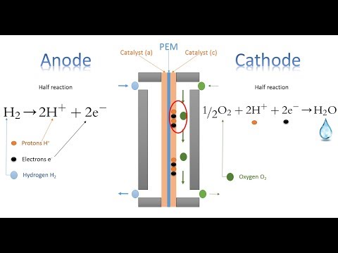 What is the efficiency of a PEM fuel cell?