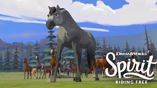 Meet the Herd | SPIRIT RIDING FREE | Netflix