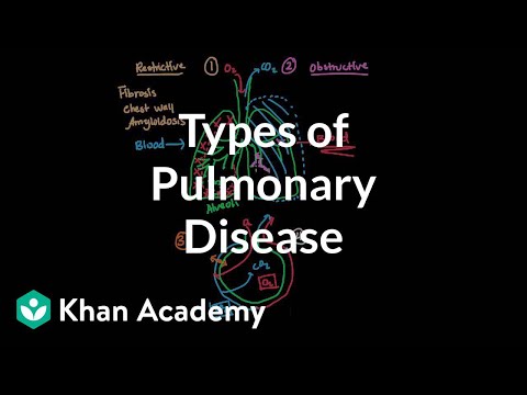 What are respiratory system diseases?