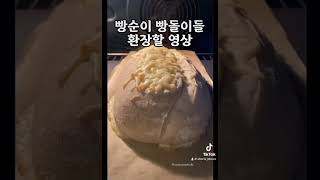 군침싹도네.. 오늘은 빵이닷..!!!😋😋😋 #레전드 #funny #funnyvideo #duet #릴스 #food #memes #유머