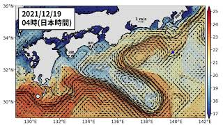 2021年12月28日までの黒潮「短期」予測