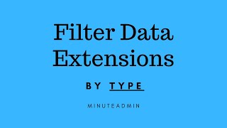Filter Data Extensions by "Type" | Data Extension Tutorial