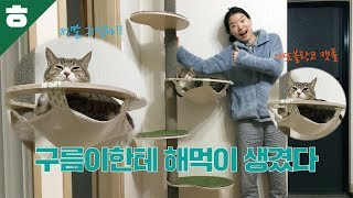 고급진 원목 캣폴을 설치해보자! [햄튜브]